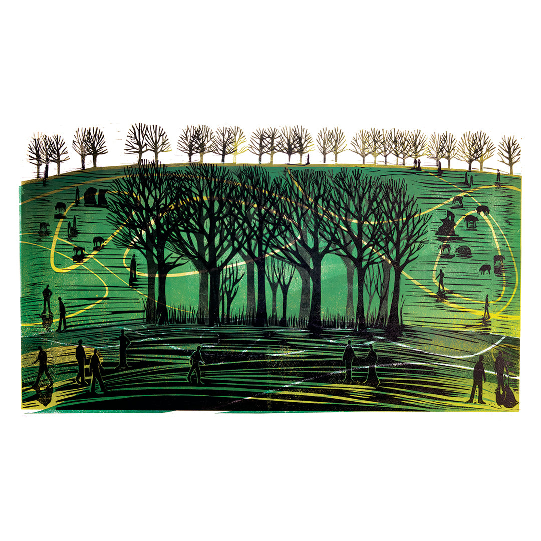 Trees, Sheep, People and More Trees