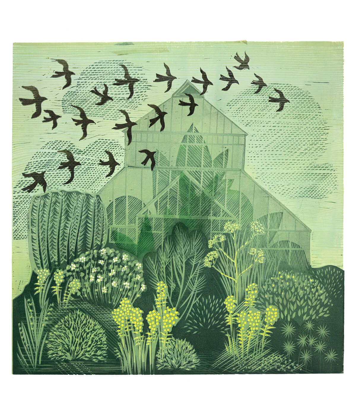 Glasshouse, Cambridge Botanic Gardens