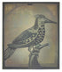 Mrs Griffiths’ Lark in Green, a linocut print by Sarah Kirby