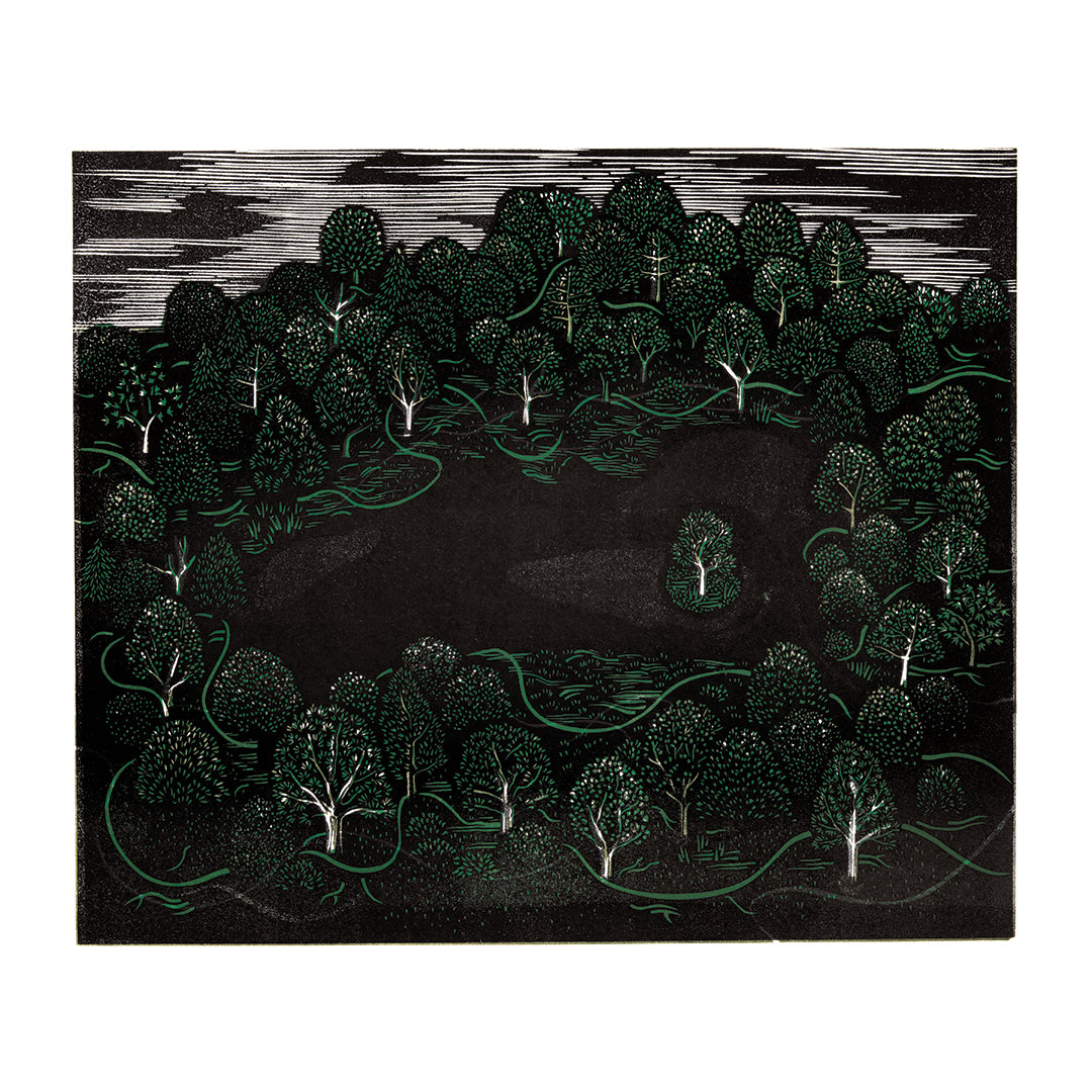 A treeon an island, in a lake, ina forest