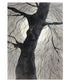 Sarah Kirby January Tree Lino Print