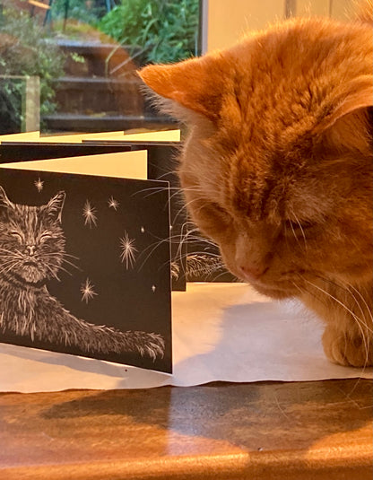 Morris and the Stars – Greeting Card
